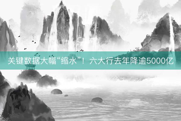 关键数据大幅“缩水”！六大行去年降逾5000亿