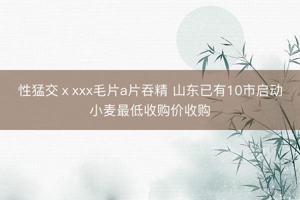 性猛交ⅹxxx毛片a片吞精 山东已有10市启动小麦最低收购价收购