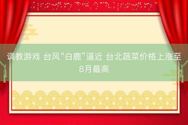 调教游戏 台风“白鹿”逼近 台北蔬菜价格上涨至8月最高