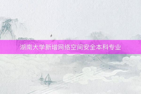 湖南大学新增网络空间安全本科专业