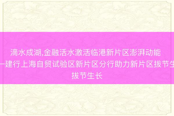 滴水成湖，金融活水激活临港新片区澎湃动能 ——建行上海自贸试验区新片区分行助力新片区拔节生长