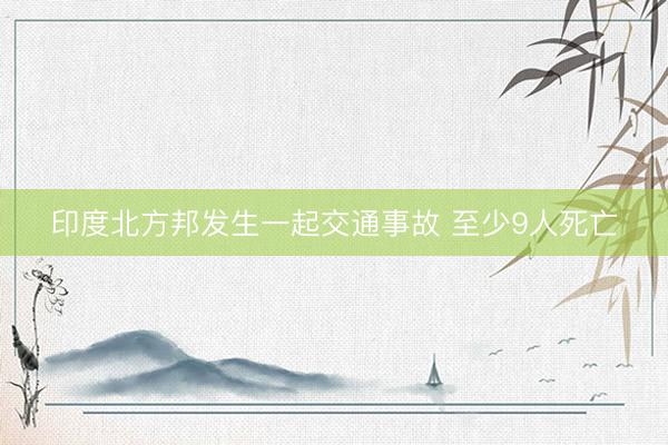印度北方邦发生一起交通事故 至少9人死亡