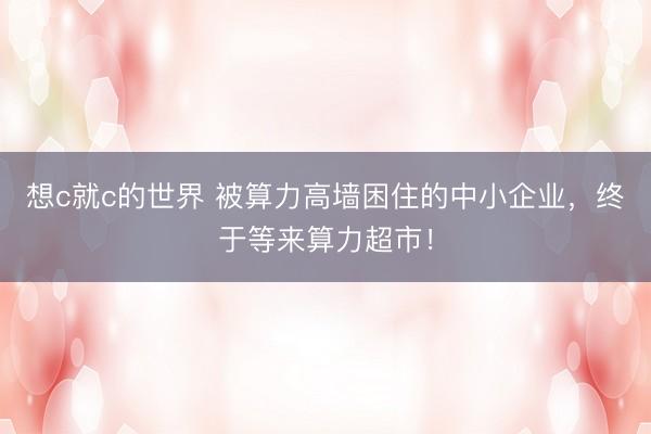想c就c的世界 被算力高墙困住的中小企业，终于等来算力超市！