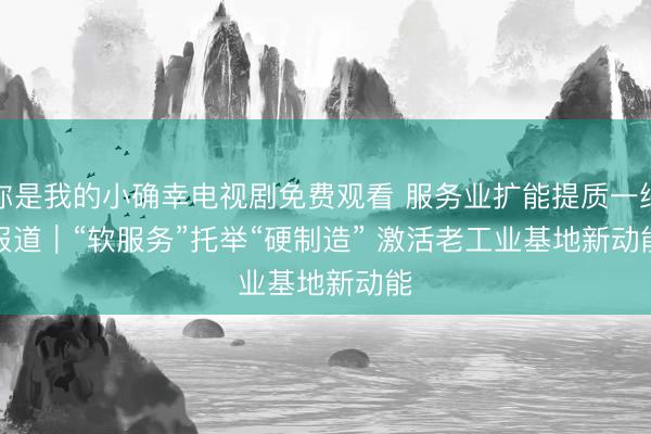 你是我的小确幸电视剧免费观看 服务业扩能提质一线报道｜“软服务”托举“硬制造” 激活老工业基地新动能