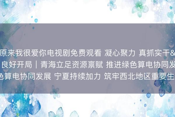 原来我很爱你电视剧免费观看 凝心聚力 真抓实干 奋力实现“十五五”良好开局｜青海立足资源禀赋 推进绿色算电协同发展 宁夏持续加力 筑牢西北地区重要生态安全屏障