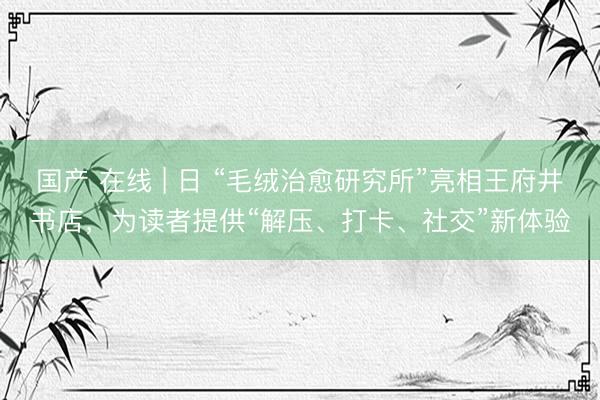 国产 在线 | 日 “毛绒治愈研究所”亮相王府井书店，为读者提供“解压、打卡、社交”新体验