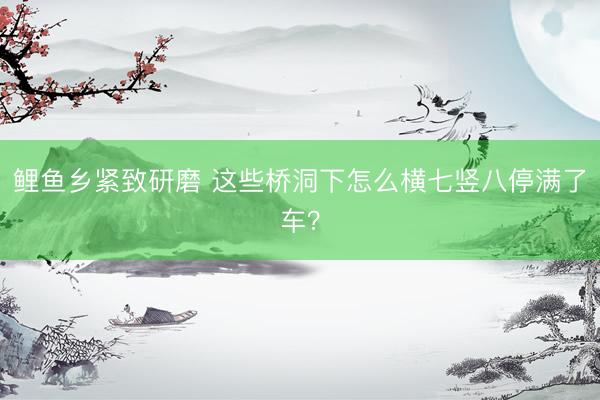 鲤鱼乡紧致研磨 这些桥洞下怎么横七竖八停满了车?