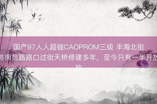 国产97人人超碰CAOPROM三级 丰海北街与南苑路路口过街天桥修建多年,至今只有一半开放