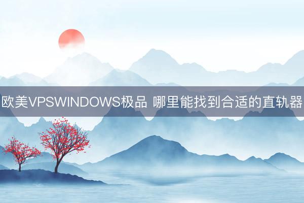 欧美VPSWINDOWS极品 哪里能找到合适的直轨器