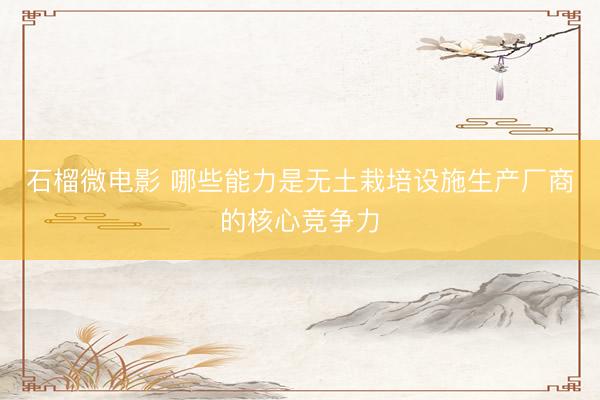 石榴微电影 哪些能力是无土栽培设施生产厂商的核心竞争力