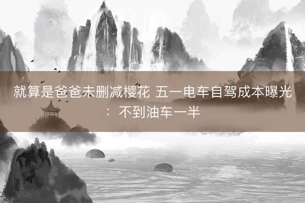 就算是爸爸未删减樱花 五一电车自驾成本曝光：不到油车一半