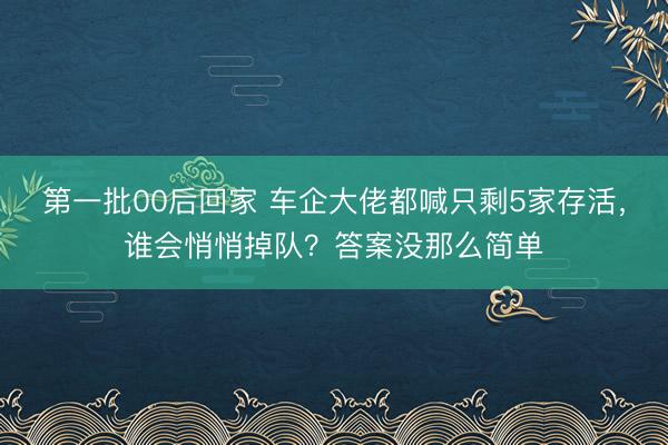 第一批00后回家 车企大佬都喊只剩5家存活，谁会悄悄掉队？答案没那么简单
