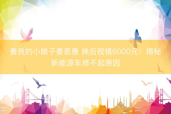 善良的小娘子姜恩惠 换后视镜6000元！揭秘新能源车修不起原因