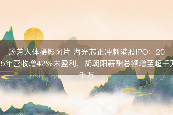 汤芳人体摄影图片 海光芯正冲刺港股IPO：2025年营收增42%未盈利，胡朝阳薪酬总额增至超千万