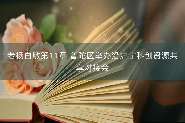 老杨白敏第11章 普陀区举办沿沪宁科创资源共享对接会