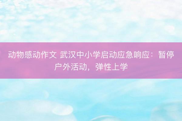 动物感动作文 武汉中小学启动应急响应：暂停户外活动，弹性上学