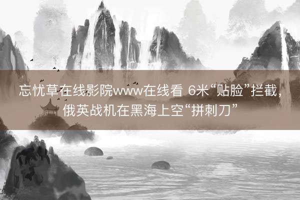 忘忧草在线影院www在线看 6米“贴脸”拦截，俄英战机在黑海上空“拼刺刀”