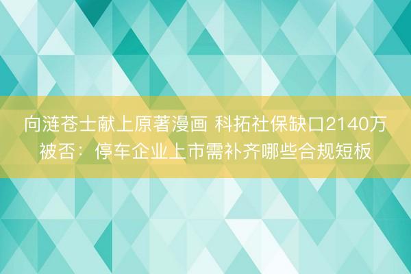 向涟苍士献上原著漫画 科拓社保缺口2140万被否：停车企业上市需补齐哪些合规短板
