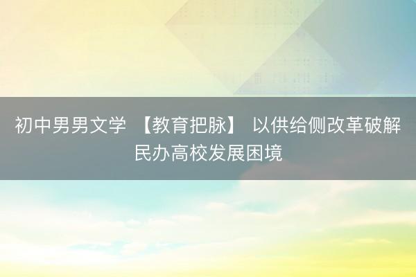 初中男男文学 【教育把脉】 以供给侧改革破解民办高校发展困境