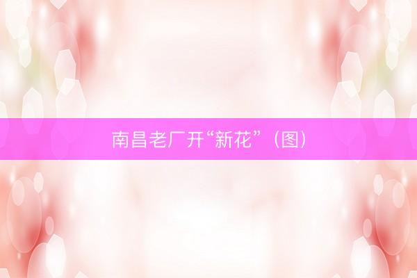 南昌老厂开“新花”（图）