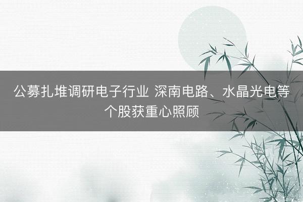 公募扎堆调研电子行业 深南电路、水晶光电等个股获重心照顾