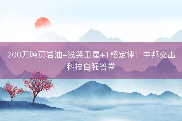 200万吨页岩油+浅笑卫星+T韬定律：中邦交出科技自强答卷