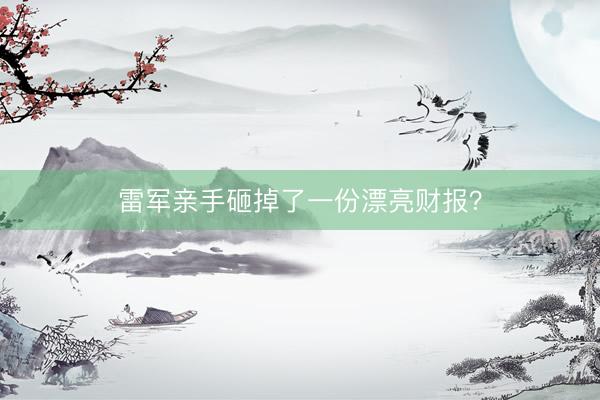 雷军亲手砸掉了一份漂亮财报？