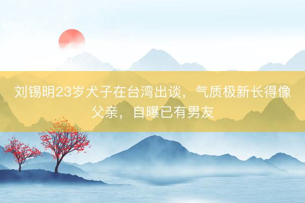 刘锡明23岁犬子在台湾出谈，气质极新长得像父亲，自曝已有男友