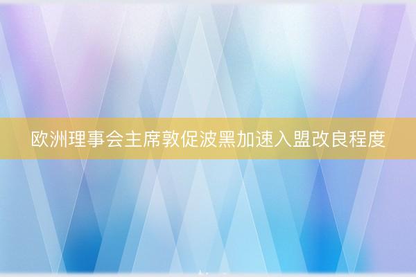 欧洲理事会主席敦促波黑加速入盟改良程度