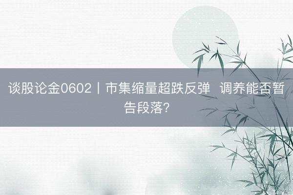 谈股论金0602丨市集缩量超跌反弹  调养能否暂告段落？