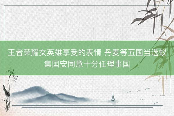 王者荣耀女英雄享受的表情 丹麦等五国当选蚁集国安同意十分任理事国