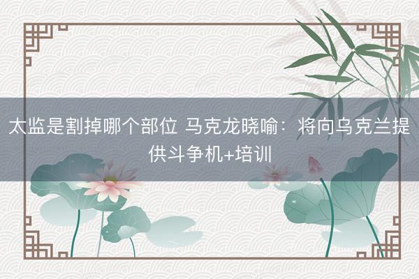 太监是割掉哪个部位 马克龙晓喻：将向乌克兰提供斗争机+培训