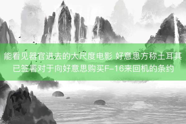 能看见器官进去的大尺度电影 好意思方称土耳其已签署对于向好意思购买F-16来回机的条约