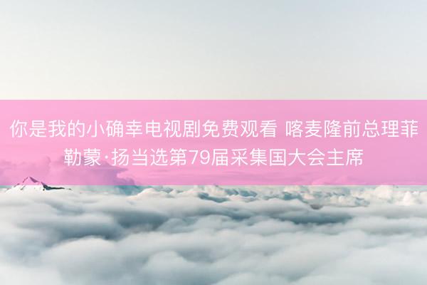 你是我的小确幸电视剧免费观看 喀麦隆前总理菲勒蒙·扬当选第79届采集国大会主席
