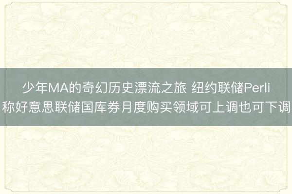 少年MA的奇幻历史漂流之旅 纽约联储Perli称好意思联储国库券月度购买领域可上调也可下调