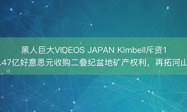 黑人巨大VIDEOS JAPAN Kimbell斥资1.47亿好意思元收购二叠纪盆地矿产权利，再拓河山