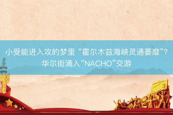 小受能进入攻的梦里 “霍尔木兹海峡灵通萎靡”？华尔街涌入“NACHO”交游