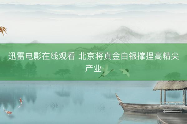 迅雷电影在线观看 北京将真金白银撑捏高精尖产业