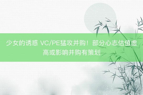 少女的诱惑 VC/PE猛攻并购！部分心志估值虚高或影响并购有策划