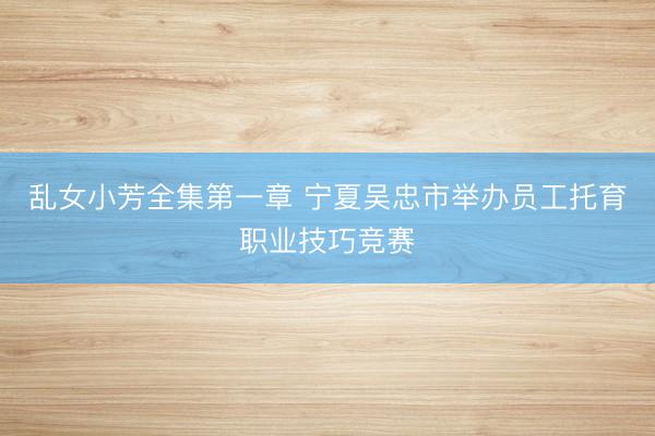 乱女小芳全集第一章 宁夏吴忠市举办员工托育职业技巧竞赛