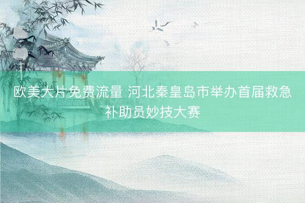 欧美大片免费流量 河北秦皇岛市举办首届救急补助员妙技大赛
