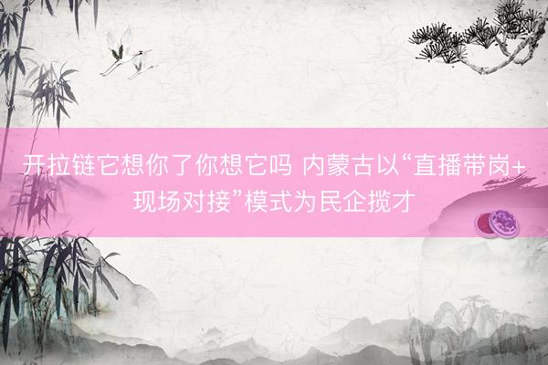 开拉链它想你了你想它吗 内蒙古以“直播带岗+现场对接”模式为民企揽才