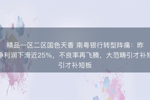 精品一区二区国色天香 南粤银行转型阵痛：昨年净利润下滑近25%，不良率再飞腾，大范畴引才补短板