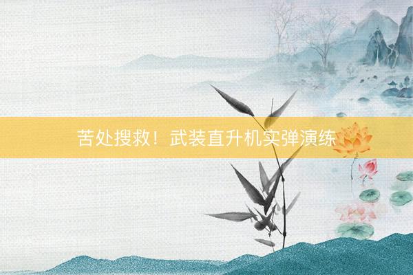 苦处搜救！武装直升机实弹演练