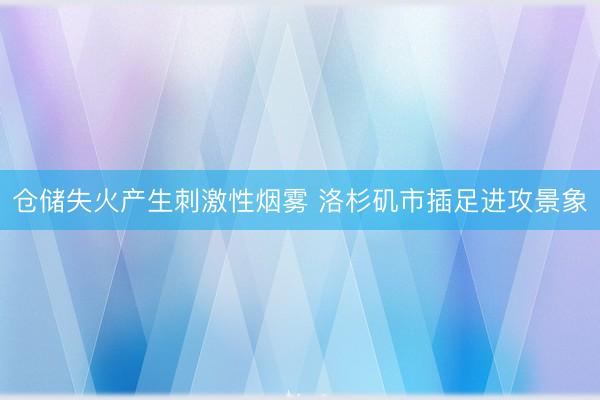 仓储失火产生刺激性烟雾 洛杉矶市插足进攻景象